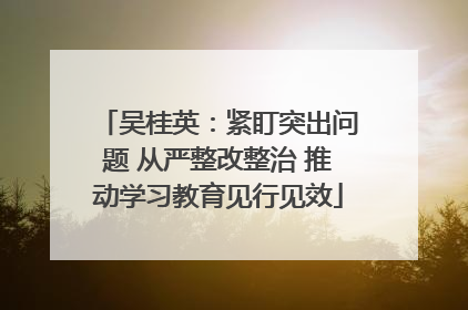 吴桂英：紧盯突出问题 从严整改整治 推动学习教育见行见效